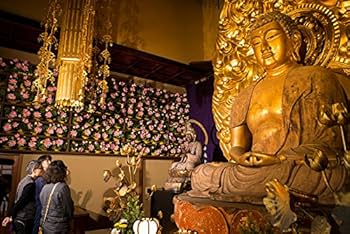 (未使用･未開封品)　新TV見仏記15 いざ! 鎌倉編 [DVD] df5ndr3 71njib1H97L._UF350,350_QL50_.jpg